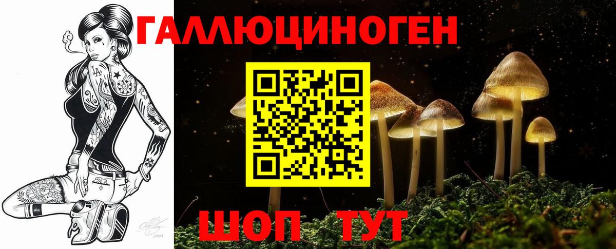 Междуреченск  Галлюциногенные грибы ЛСД  Галлюциногенные грибы Magic Shrooms  Вход с VPN 